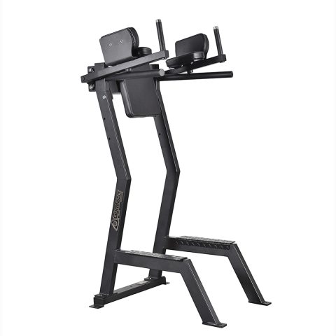 173 Gymleco Leg Lift with Dip Function